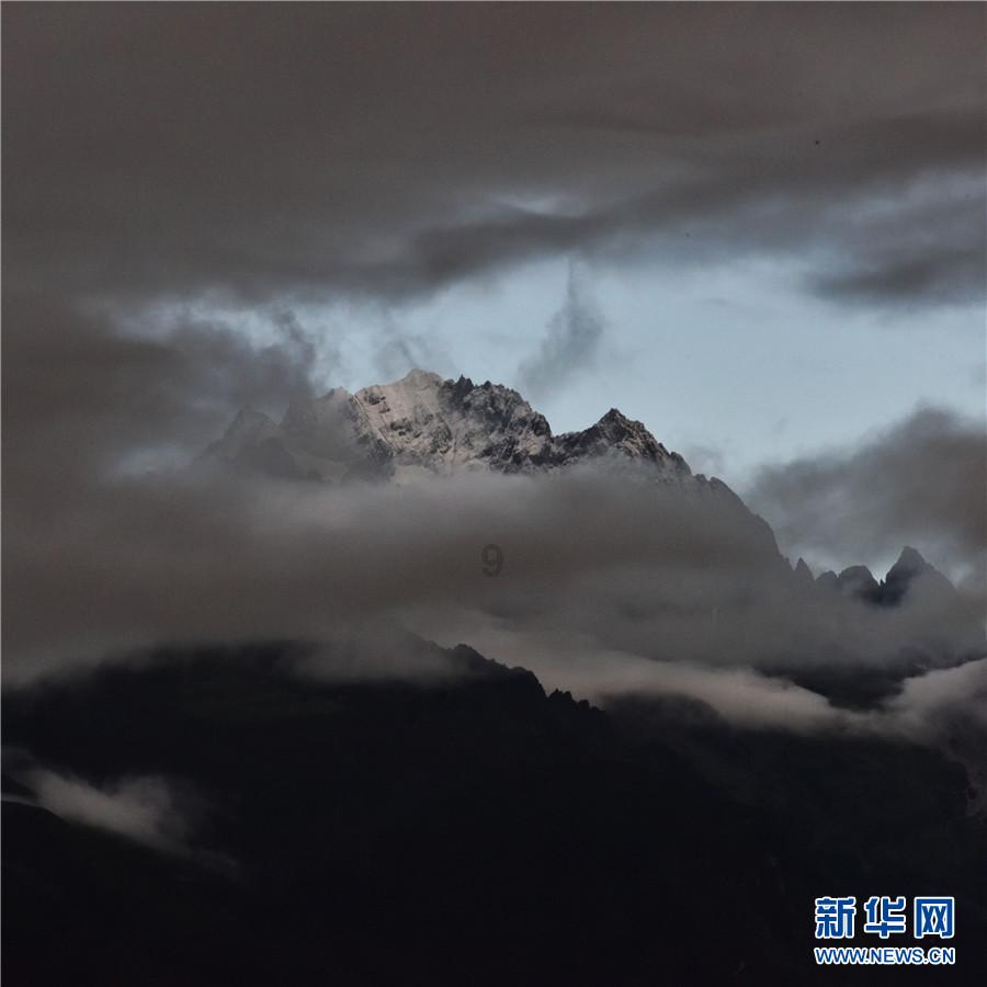 卡通考拉救援